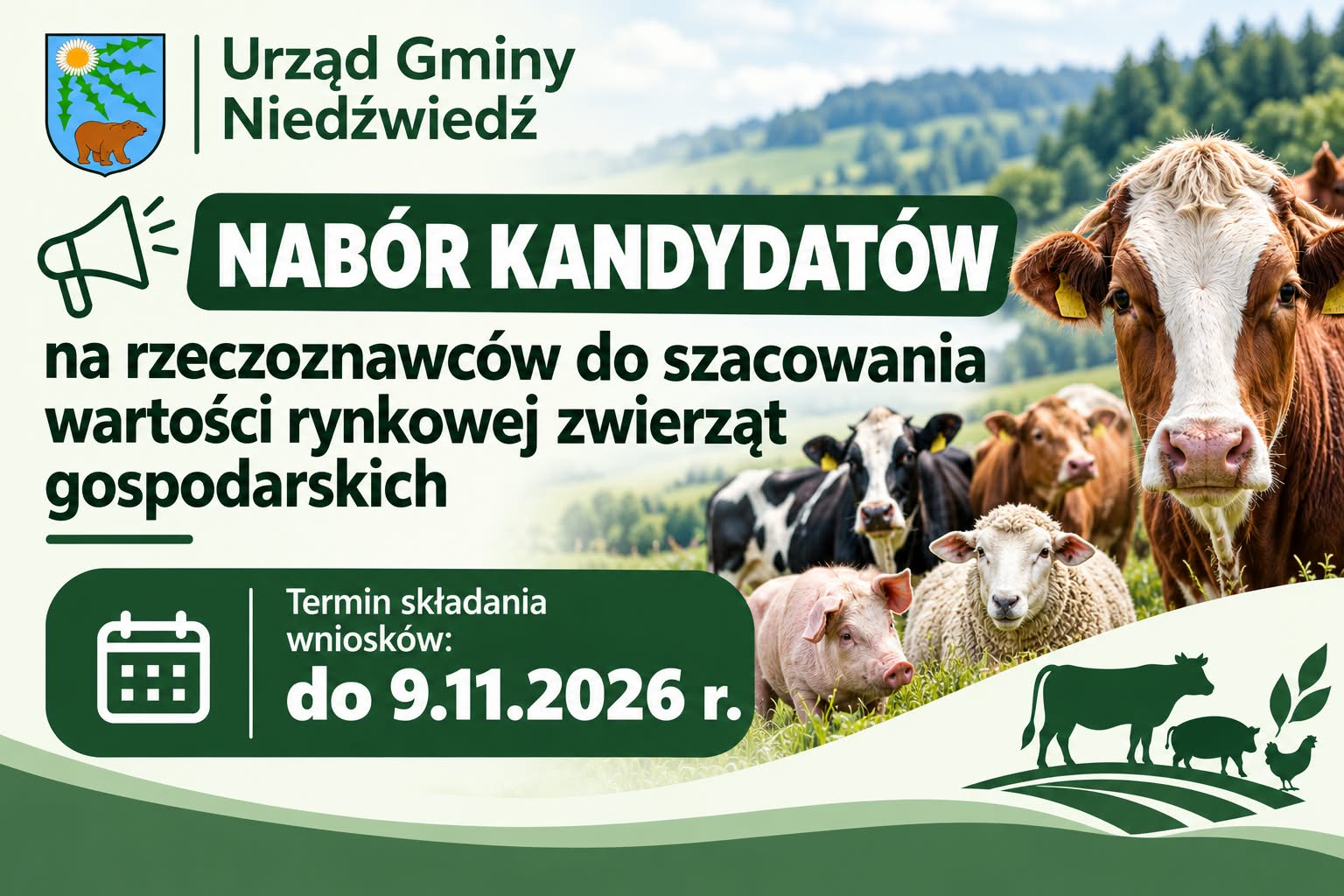 Nabór Kandydatów